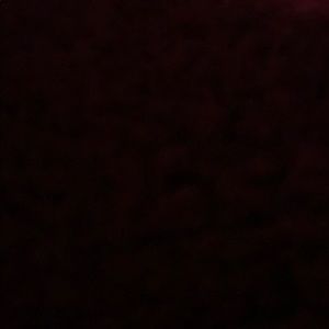 Meet your Posher, Riley